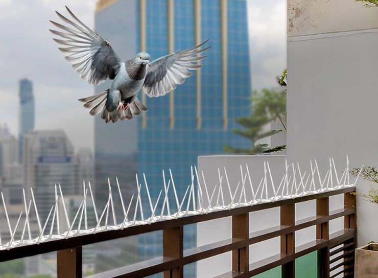 Pigeon & Bird Spikes