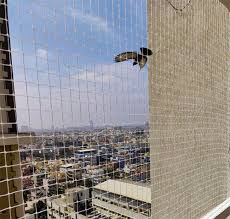 Pigeon Net Installation 1