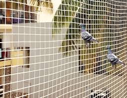 Pigeon Net Installation 10