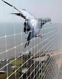Pigeon Net Installation 11