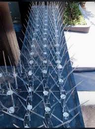 Pigeon Net Installation 4