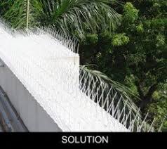 Pigeon Net Installation 5