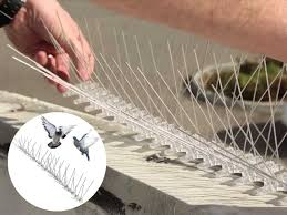 Pigeon Net Installation 6