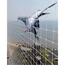 Pigeon Net Installation 7